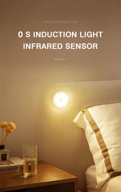 Motion Sensor Light for Home